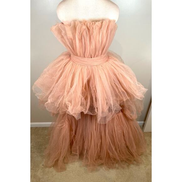 Bronx and Banco Anna Pink Tiered Tulle Maxi Dress Size Medium - Picture 6 of 16